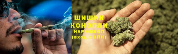 соль ск Арсеньев