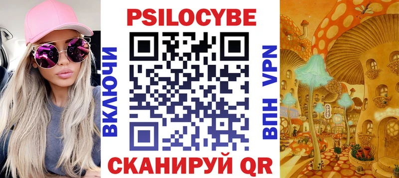 где продают   Ржев  Псилоцибиновые грибы Psilocybine cubensis 